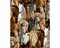 Horse Stampede Cotton Fabric | By the Yard | Sewing and Crafting | 44 inches wide